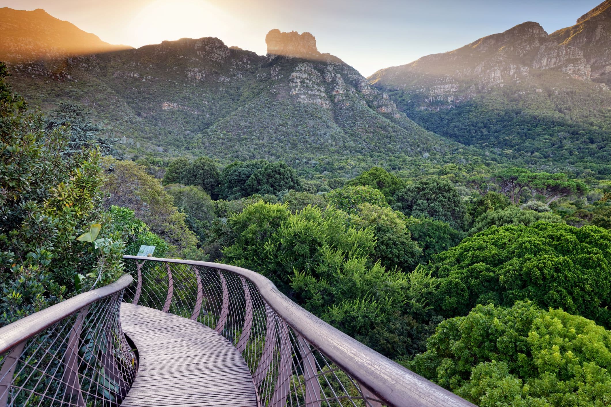 South Africa for wildlife